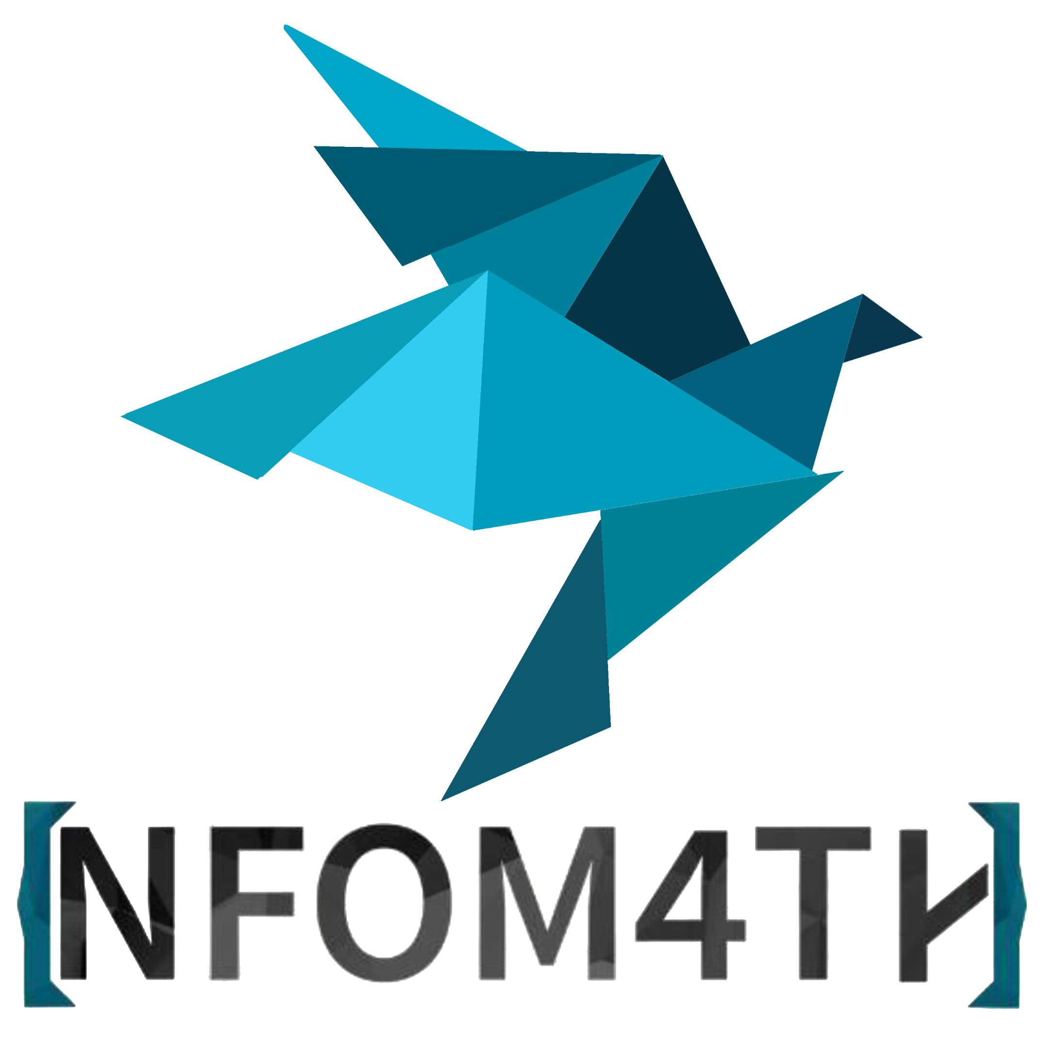 InfoMath Club - Head of organizing council
